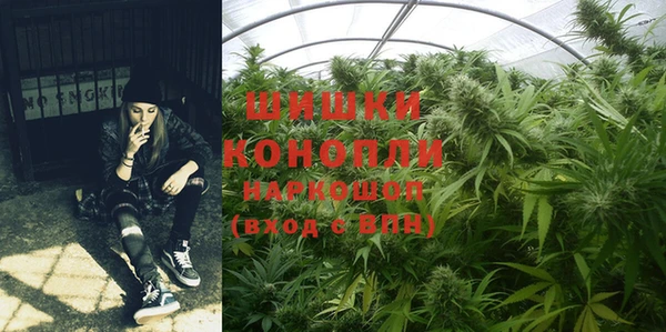 крисы Липки