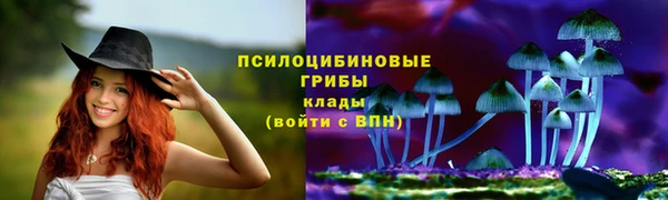 крисы Липки
