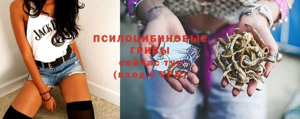 мдма Корсаков